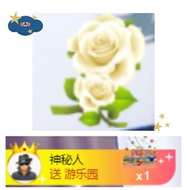 跑调嘉💟主播照片