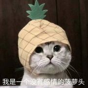 🍍大菠萝🍍