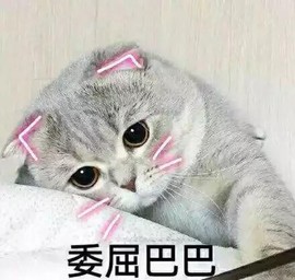 寵儿感恩有你主播照片