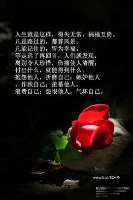 🌷万物归根🌷主播照片