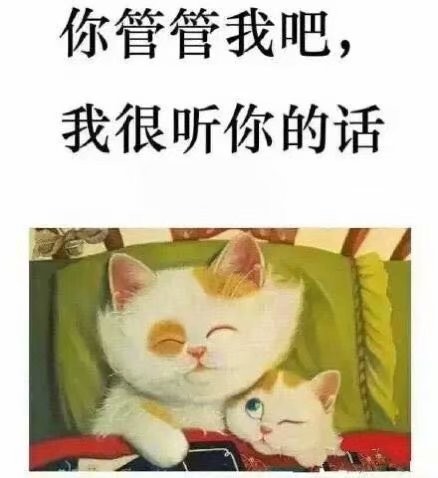 只是个寶寶🍼的主播照片
