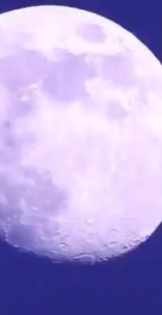 没去过月球的而想去月球的报名