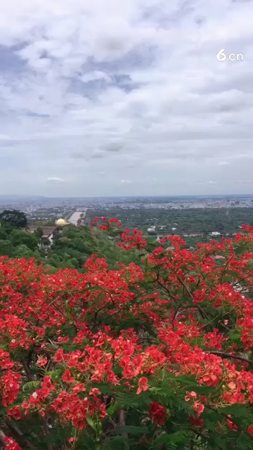 缅甸看缅妹