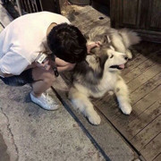 小吉同学i
