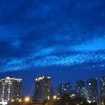 落叶红秋