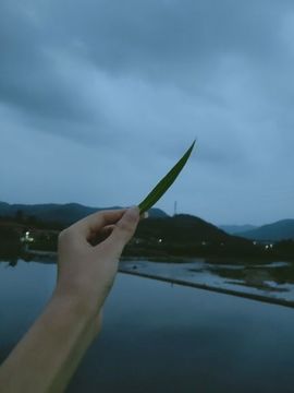 ღ瑋玮主播照片
