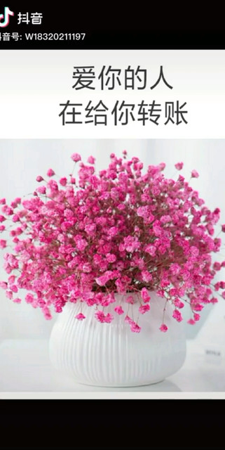 你会是哪一种？