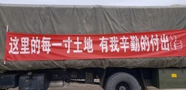 京城少爷🇨🇳敬礼主播照片