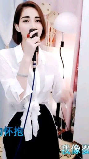 8068