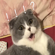 bbhgfgb海报