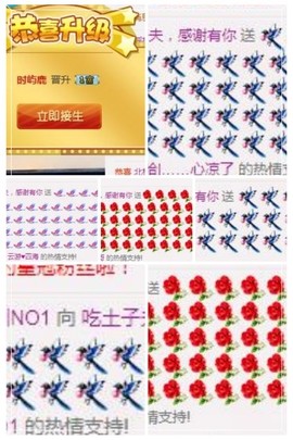 指挥官。主播照片