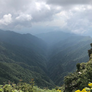 过于冲动