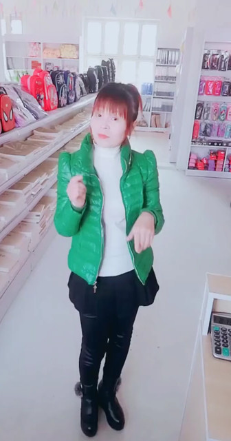 凤凰飞