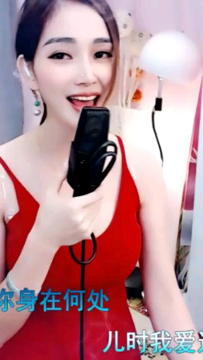 红枣树