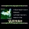 酒淋小胖