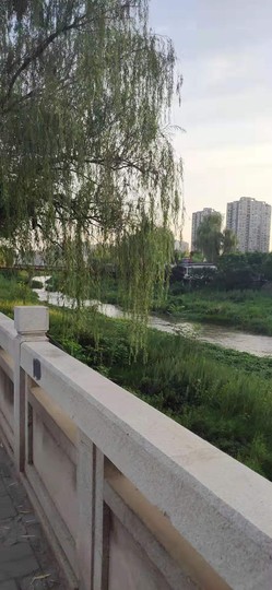 小归期《》主播照片