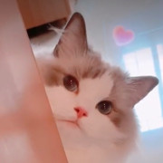 ♡初見/歌聲相伴海报