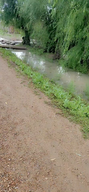 回老家了！天下大雨就我在待几天