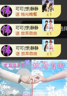 海鸽晚上见主播照片