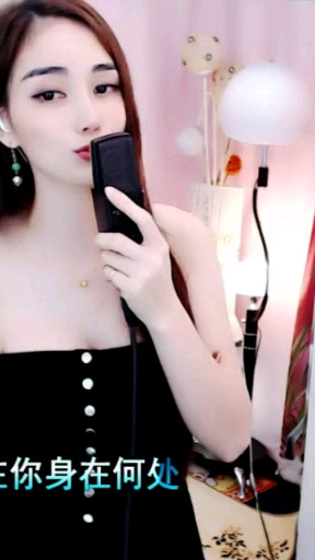 红枣树