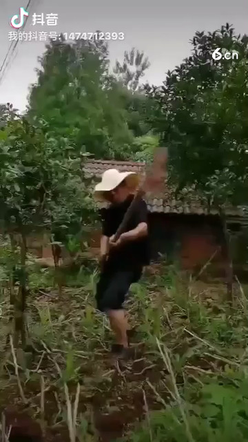 農(nóng)民達(dá)人