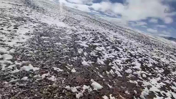 刚上地铁有几家哈哈哈