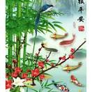 心雨djh的头像
