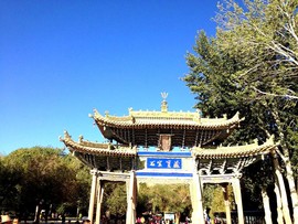 实力决定话语权主播照片