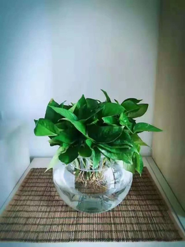 დ释怀დ主播照片