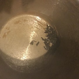 新人21😌主播照片