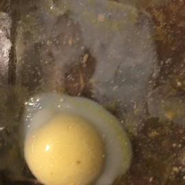 新人21😌主播照片