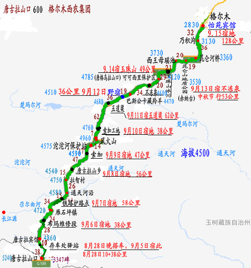 熊大楼兰甘肃宁夏内蒙的图片