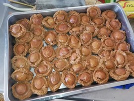 吃货🐽猪猪^O^主播照片