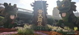 京城少爷🇨🇳敬礼主播照片