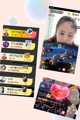 海鸽晚上见主播照片