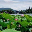 李永艳i