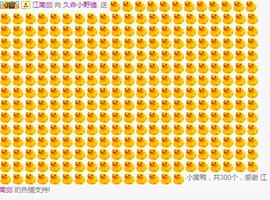 久命大老虎.主播照片
