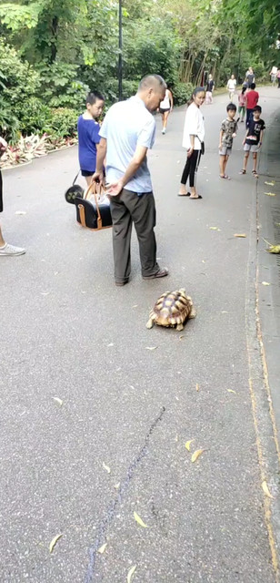 哈哈哈靠边走，前边有车来了嘻嘻