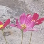 诠释，爱海报