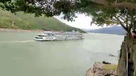 会飞的石头---哥主播照片