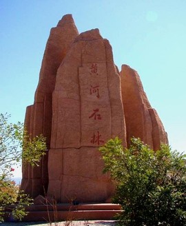 实力决定话语权主播照片