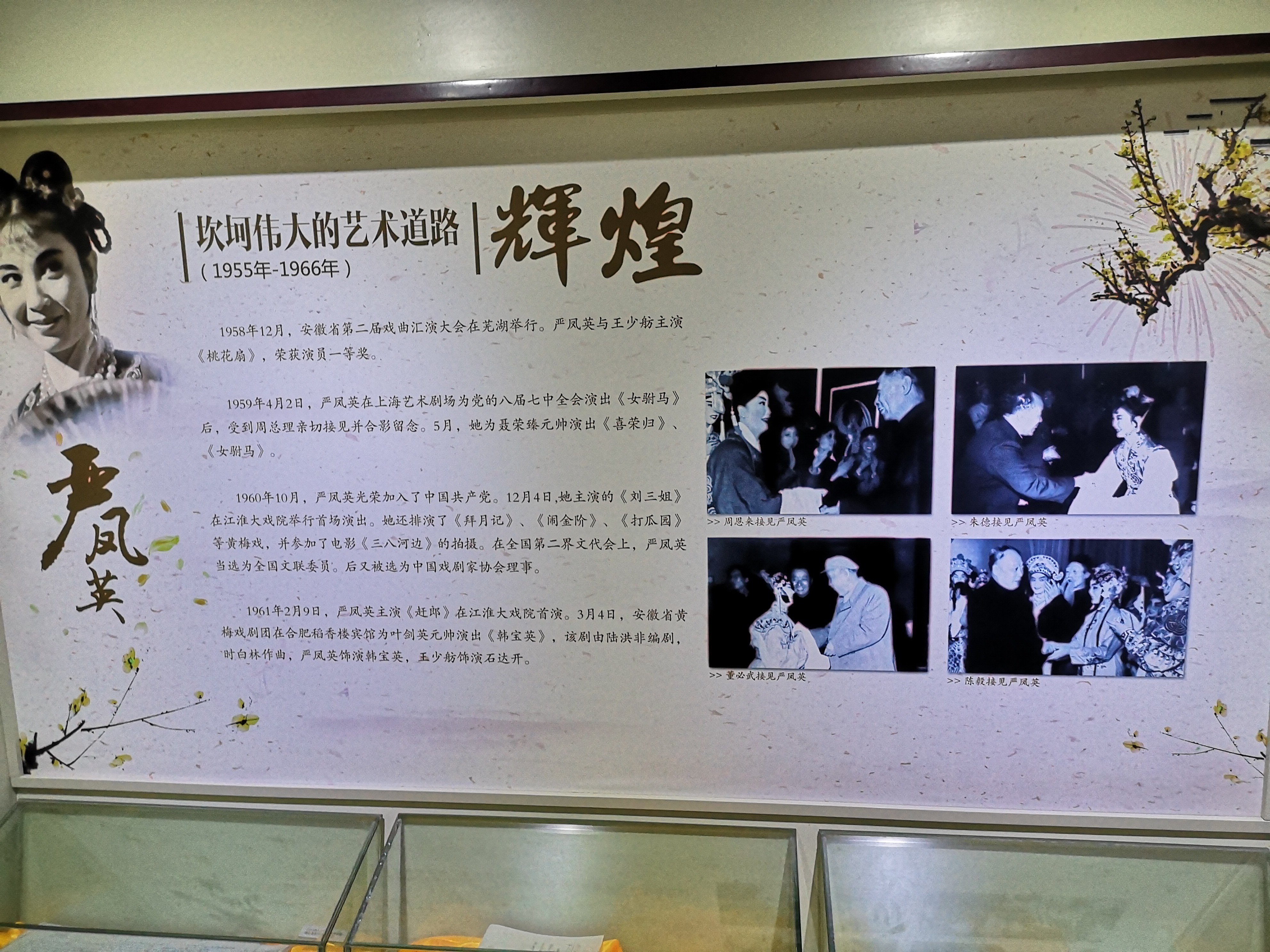 木.....禾主播照片