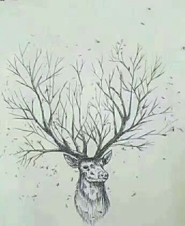 只为🍂遇见你🍃主播照片