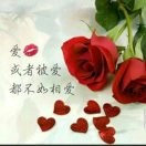 不忘初心48u的头像