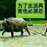王者归来猛虎海报