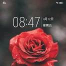 张永红🍎🍎