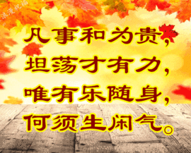 დ释怀დ主播照片