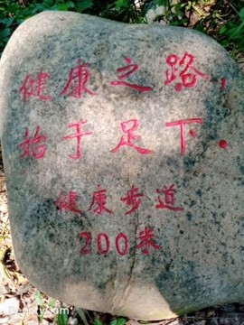 ╧╧╧主播照片