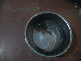 艾玛失踪人口主播照片