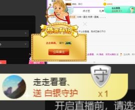 海鸽晚上见主播照片